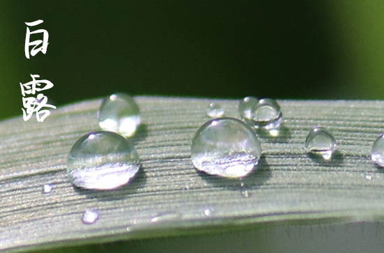 2024年白露是哪一天 2024白露动土修造好吗