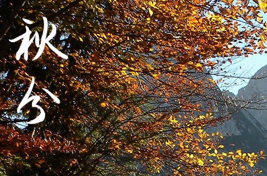 2024秋分是哪天 2024年秋分是养狗的好日子吗