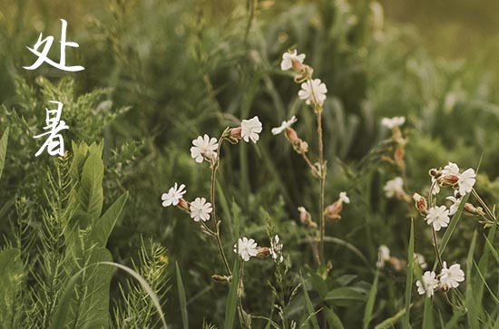 2024年处暑是什么时候 2024处暑那天搬迁好吗