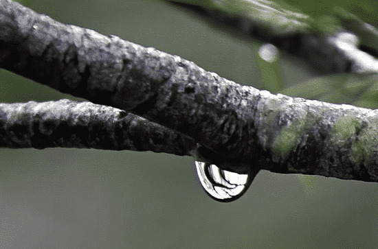                     陕西各地雨水31日起再度拉开帷幕 陕南局地将遭遇暴雨或大暴雨                    