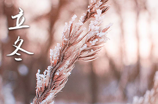 2024年立冬是几月几日 2024立冬那天开张好不好