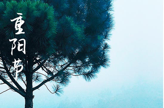 2023年重阳节是阳历还是阴历9月9日