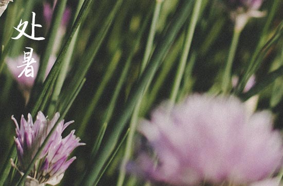 2024处暑是哪天 2024年处暑钓鱼行吗 2024处暑是哪天 2024年处暑钓鱼行吗