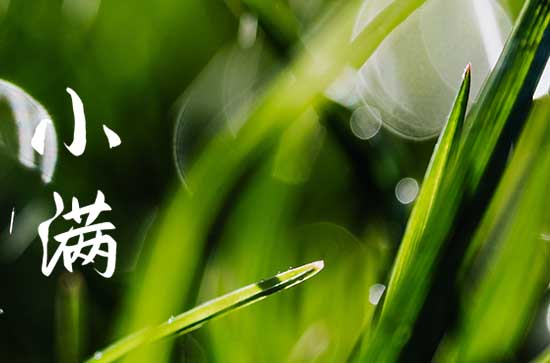 2023年小满是几点几分几秒  2023小满是哪一天什么时间