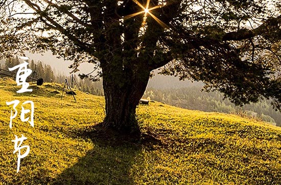 重阳节是什么节日呢, 重阳节是什么节日呢,