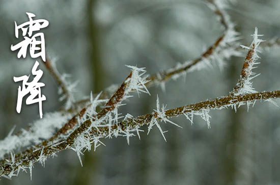 江西2023年12月19日有雨夹雪或小雪 九江未来三天天气预报