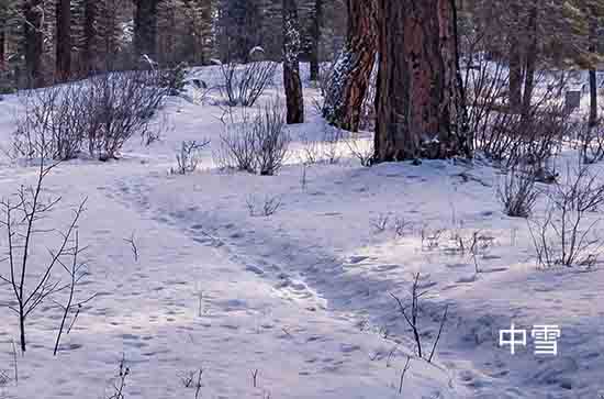 10月21日呼伦贝尔不会下雨 今日中雪转晴温度0℃~-9℃