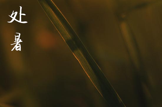 2024年处暑是几月几日 2024处暑那天认义子好吗