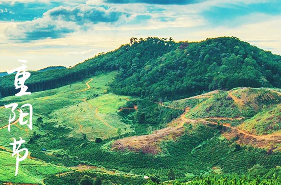 2023年九九重阳节是哪一天