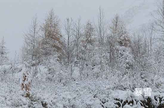 黑龙江12月25日今迎大范围降雪天气 大庆未来三天天气预报