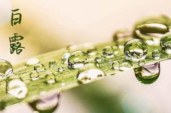 白露是2024的几月几日 2024年白露弄合嵴好不好