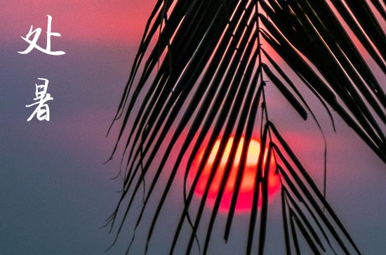 2024年处暑是哪一天 2024年处暑弄伐木可以吗 2024年处暑是哪一天 2024年处暑弄伐木可以吗