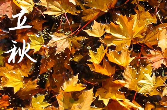 立秋是2024的几月几日 2024立秋那天安装窗帘好不好