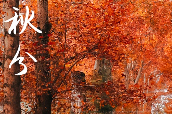 秋分节气祝福语