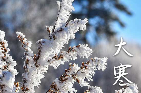 2024年大寒是阳历几月几日