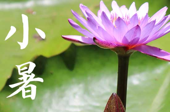 今年小暑是几月几号2024