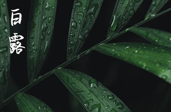 2024年今年白露是几月几号 2024白露安装门框好吗