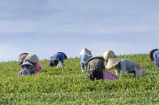 2023年湖南6月份一般多少度 湖南6月份天气怎么样