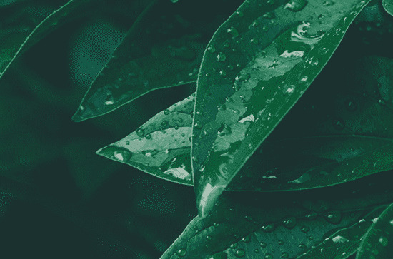 2023年武汉每年几月份淹水 武汉的雨季集中在几月