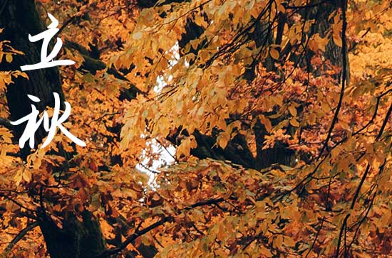 2024立秋是哪一天 2024立秋建造轮船好吗