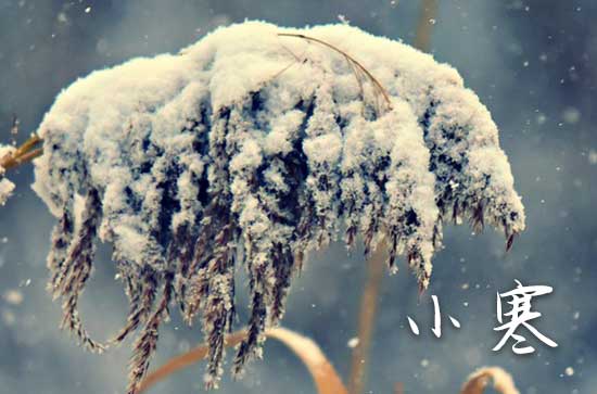 2024小寒节气是几月几日几点几分 2024年小寒时间点在1月几号