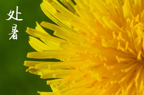 2024年处暑是具体哪一天 2024年处暑弄领证可以吗