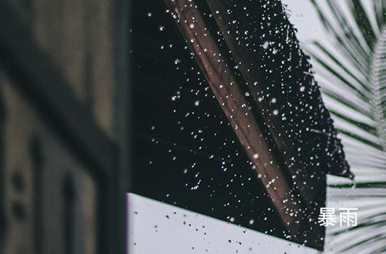 今日万圣节前夜 高雄天气大暴雨转中雨低温23℃