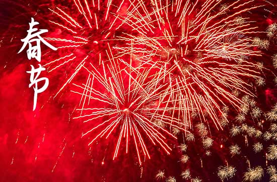 2024春节对青年祝福语10条
