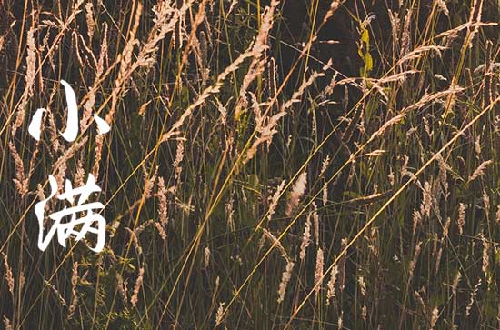 小满小满将要饱满 小满是怎么来的