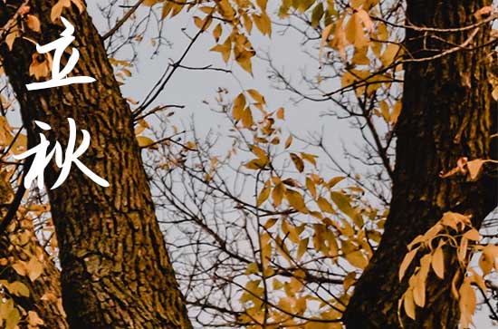 立秋是2024的几月几日 2024立秋安床好吗