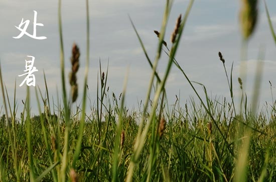 2024年处暑是星期几 2024年处暑弄装床适合吗
