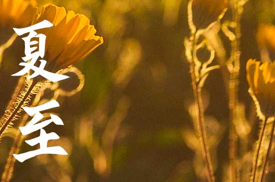 2023年6月21日是什么节气 6月21日是夏至节气