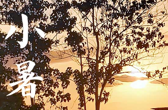 2024年什么时候小暑 2024年7月6日小暑黄历