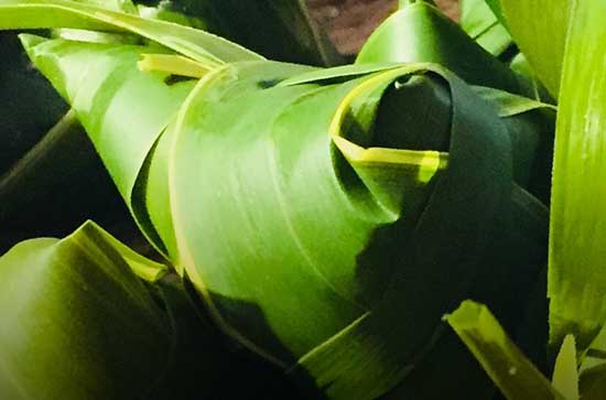 2023端午节快乐祝福语简短66条
