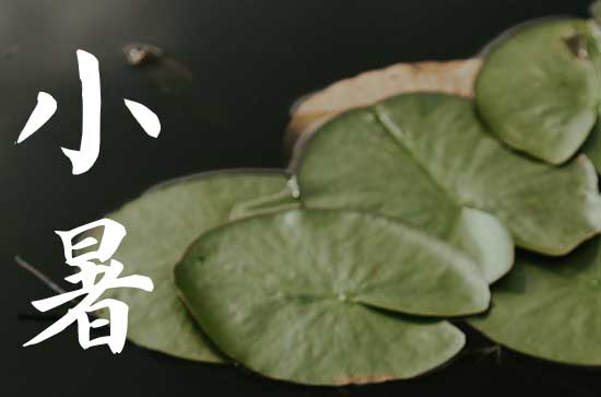 2024年小暑几月几日 2024年小暑装修厨房吉利吗