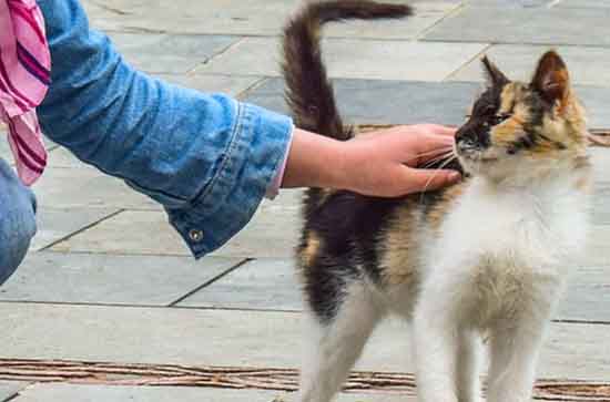 “六一”儿童节美好寄语 “六一”儿童节上台研究的美好祝福语 “六一”儿童节美好寄语 “六一”儿童节上台研究的美好祝福语