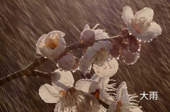 6月6日东莞会下雨 今日中到大雨温度27℃~24℃
