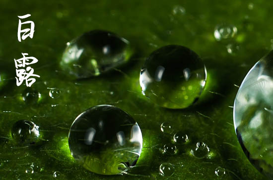 2024年白露是哪一天 2024年白露就诊行不行