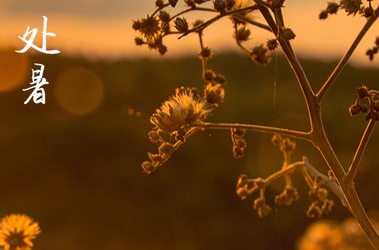 2024年处暑是什么时候时间 2024年处暑这天日子怎样