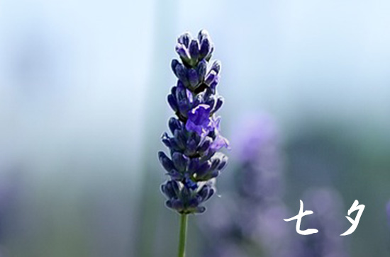 2023七夕登记结婚会不会不吉利