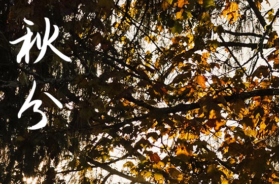 2024年秋分来临,秋分象征着什么