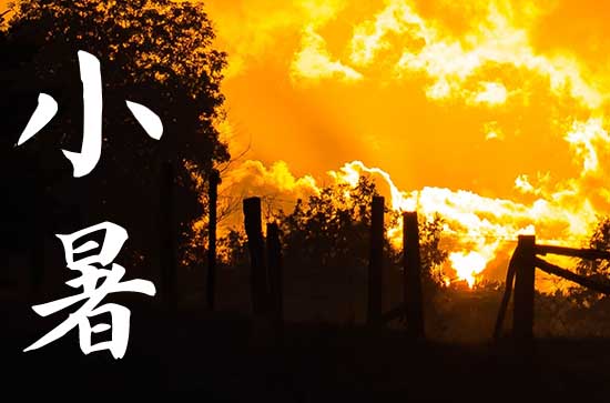 面面俱到话小暑养生 小暑时节食用的食品