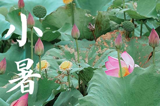 小暑热还是大暑热 中国南方和北方大暑的差异是什么 小暑热还是大暑热 中国南方和北方大暑的差异是什么