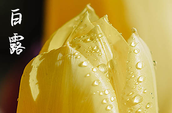 2024年白露是星期几 2024年白露是开学的好日子吗