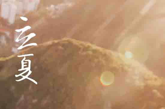 2024立夏是几月几日几点几分 今年立夏是哪一天