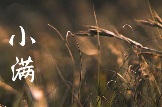 小满2024年几月几号 具体哪天