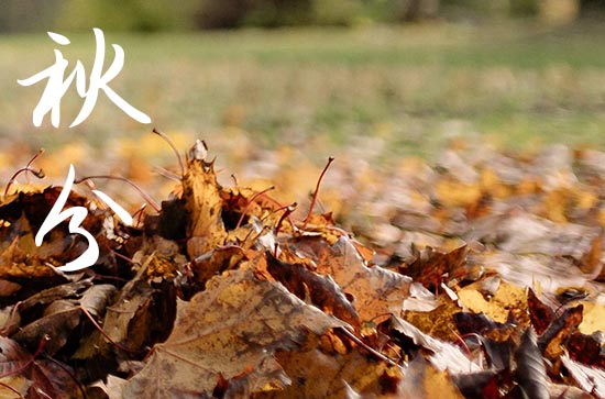 秋分2024年是几月几日星期几 2024年秋分是出差吉日吗