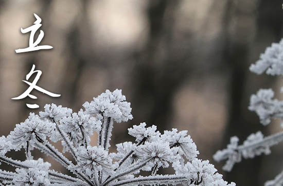 立冬2023年是几月几日星期几 2023年立冬定亲行吗