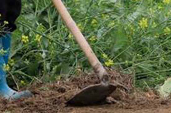 2023五一高速免费时间 2023五一高速免费吗