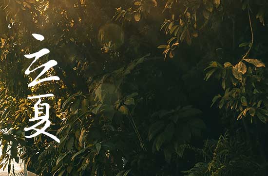 2024什么时候入夏